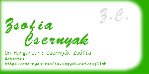 zsofia csernyak business card